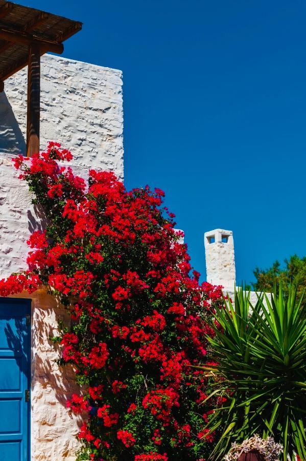Santa Maria Traditional Stone Studio Εξωτερικό φωτογραφία