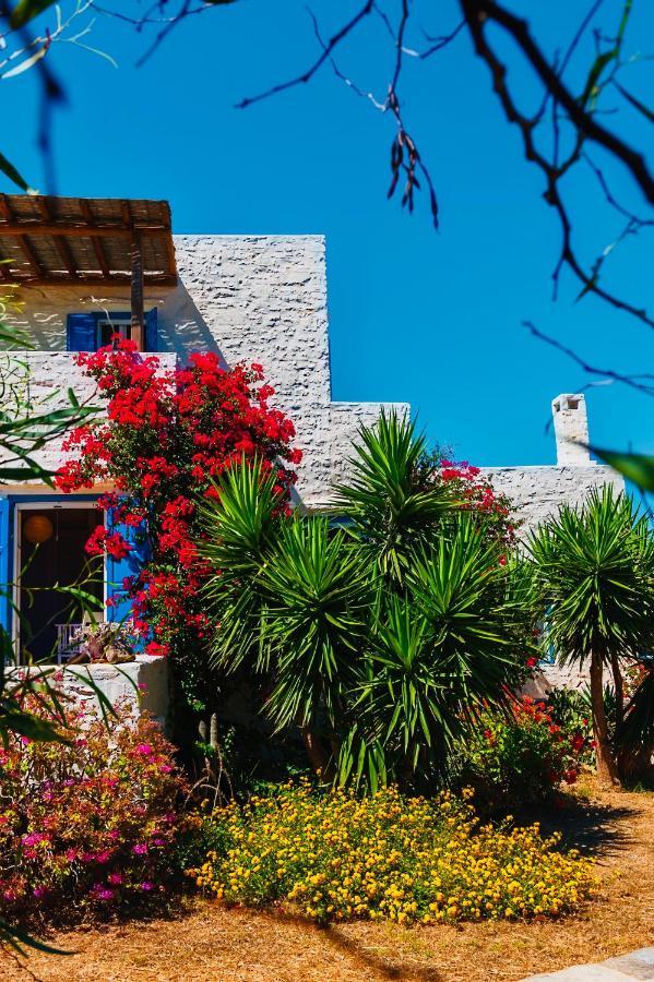 Santa Maria Traditional Stone Studio Εξωτερικό φωτογραφία