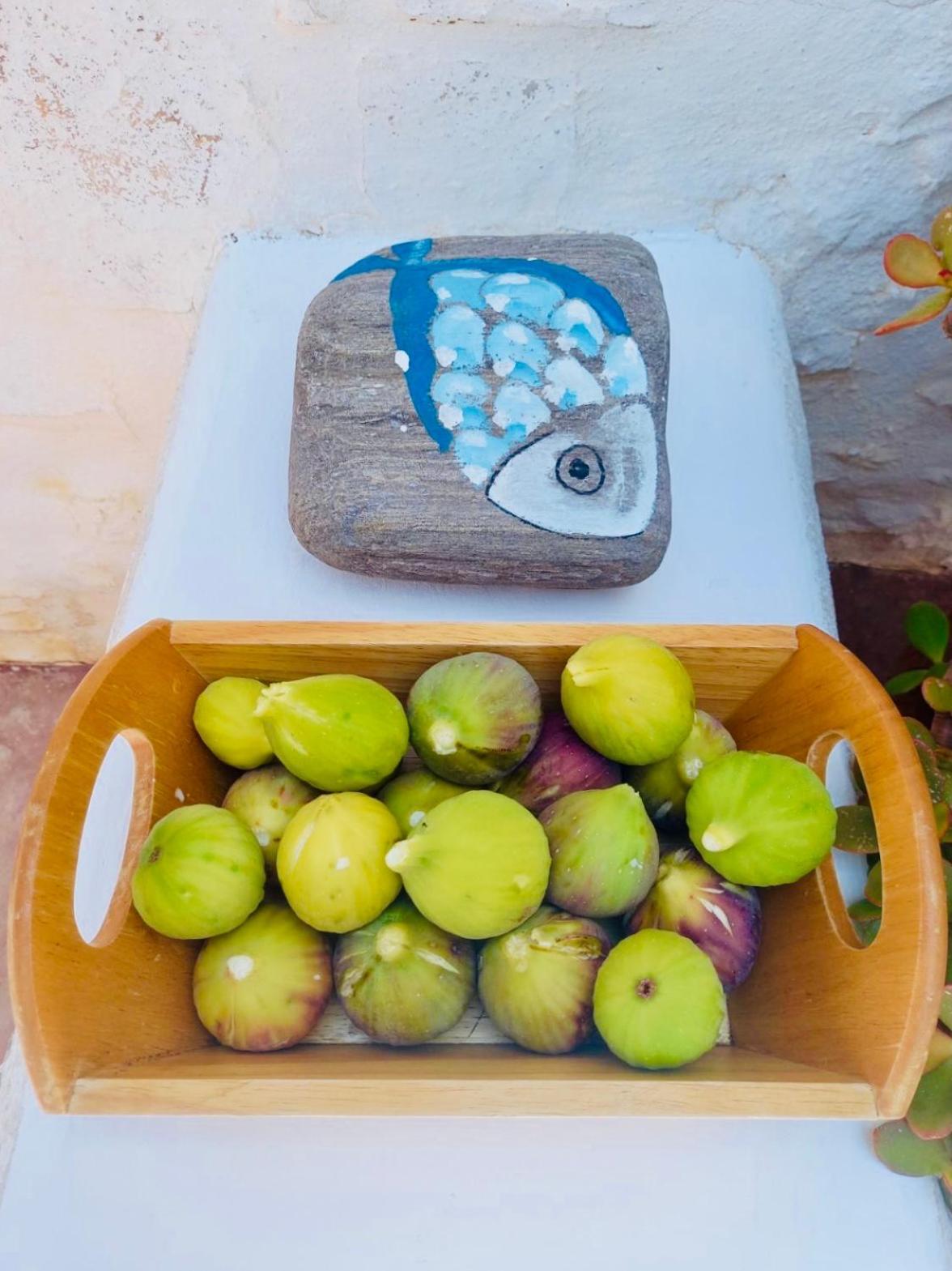 Santa Maria Traditional Stone Studio Εξωτερικό φωτογραφία
